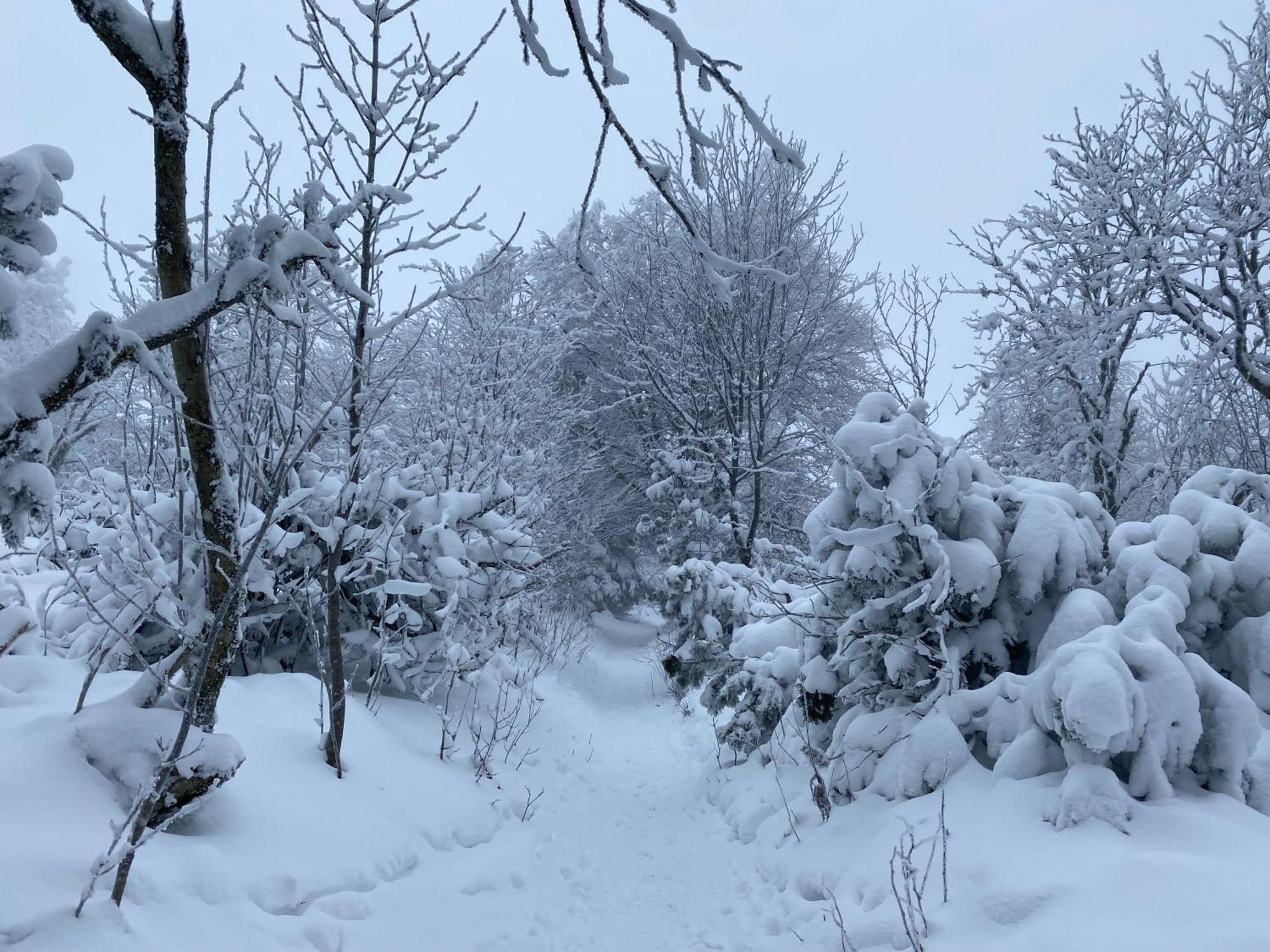 Le Chalet Du Hohwald Luaran gambar
